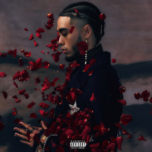 奶白官网登录入口
